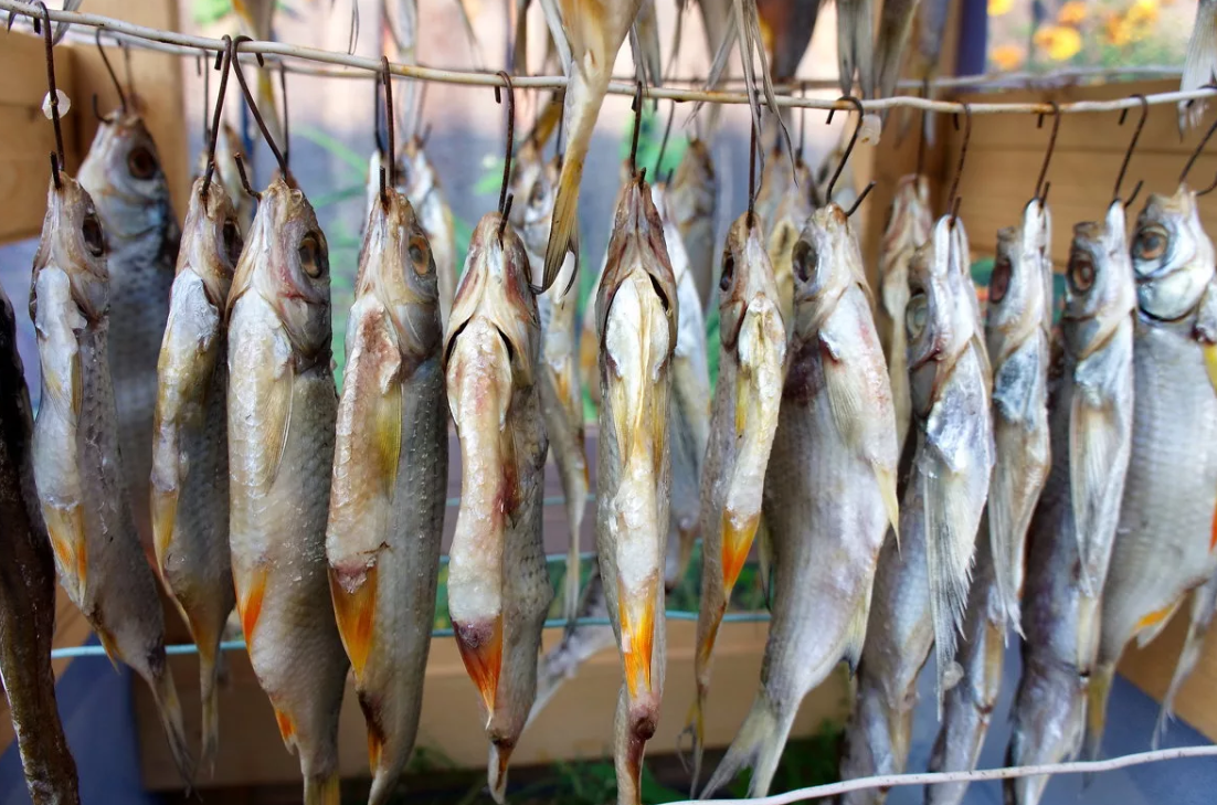 Как вялить рыбу в домашних условиях летом: проверенная тактика