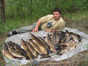 Рыбалка в омске и омской области: какая рыба водится, лучшие рыбные места