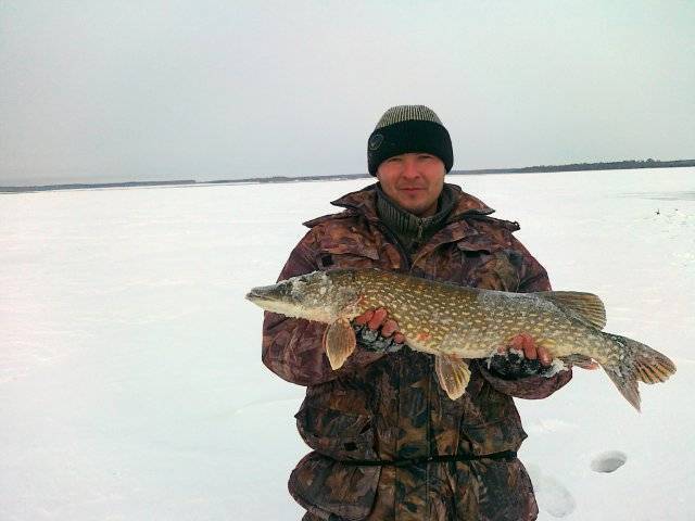 Летняя и зимняя рыбалка в свердловской области. перспективные места для платной и бесплатной рыбалки