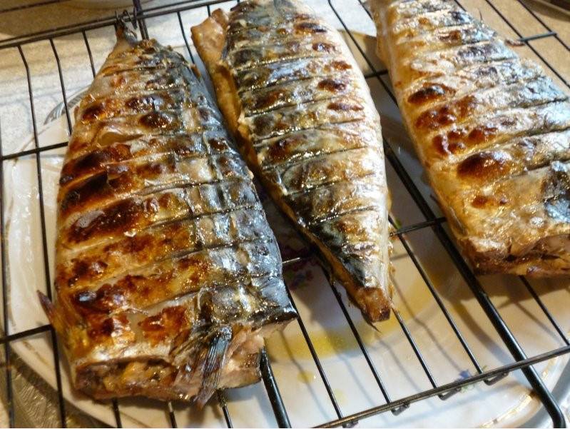 Рыба на мангале: как приготовить на углях, рецепты на решетке, в фольге