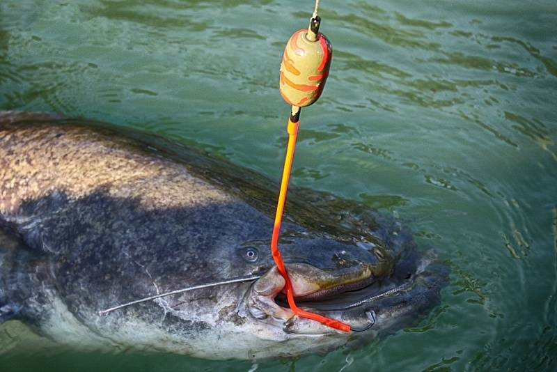 Снасть для ловли сома с берега на донку своими руками - суперулов - интернет-портал о рыбалке