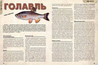 Голавль: рыба голавль фото и описание, нерест, способы ловли, образ жизни, приманки