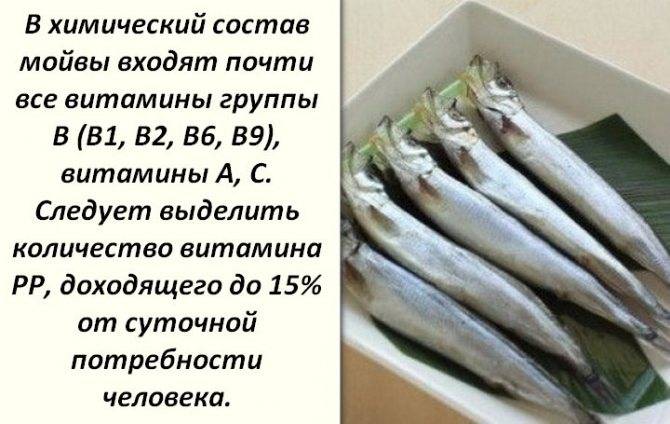 Рыба мойва: описание с фото, применение, калорийность и хранение