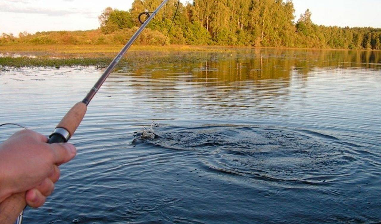 5 популярных спиннинговых заблуждений – начинающим рыболовам | рыбак bogdan