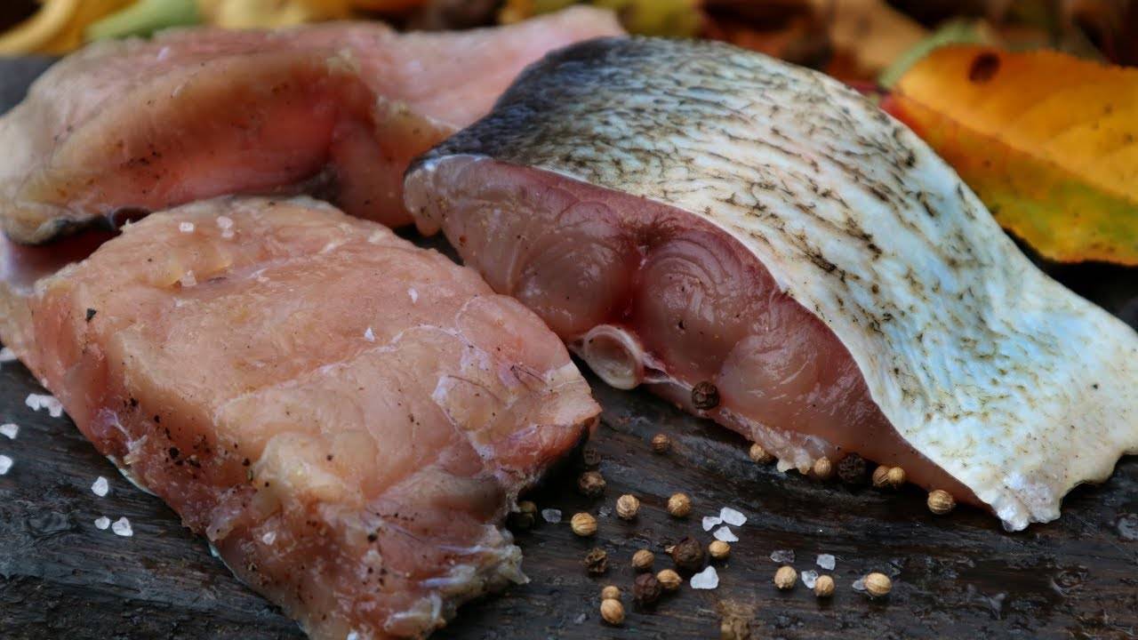 Толстолобик: что за рыба и как его готовить
