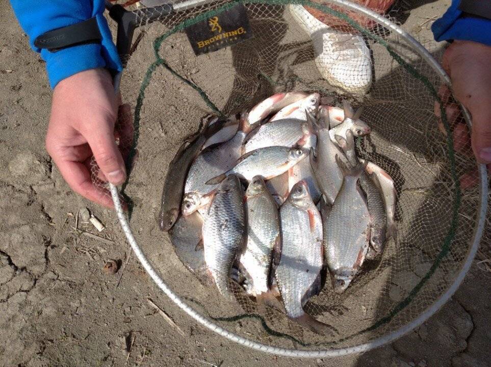 Рыбалка в ростовской области: основные места ловли