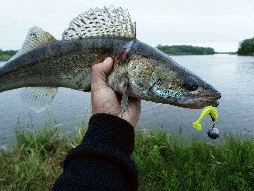 Рыбалка на каме: какая рыба водится, ловля летом с берега