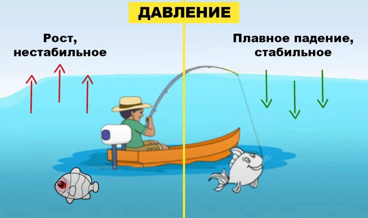 Влияние атмосферного давления для зимней рыбалки