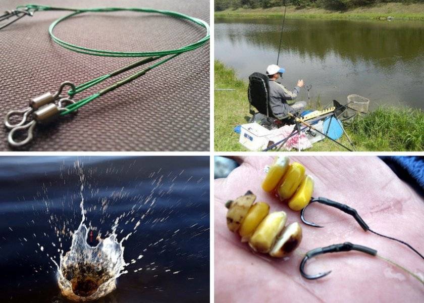 Рыбалка в августе: какую рыбу ловить в августе
