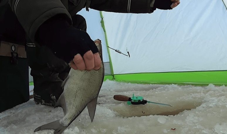 Все о зимней рыбалке: особенности ловли рыбы на льду и видео связанное с зимой