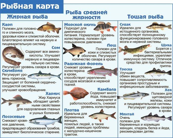 Как выбирать и покупать — морскую рыбу и беспозвоночных