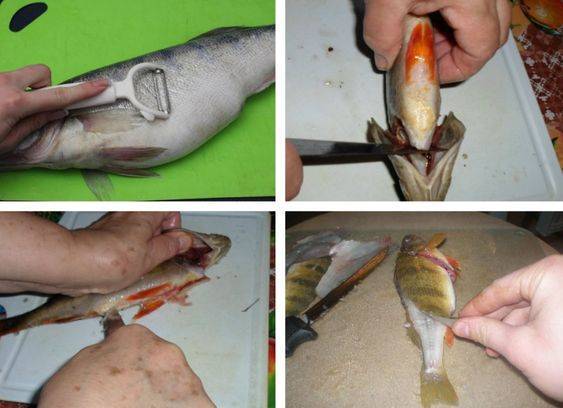 Как почистить окуня: способы лёгкой и быстрой очистки рыбы, что для этого нужно