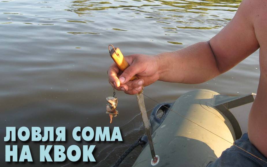 Ловля сома на квок – традиционный русский способ добычи трофейной рыбы