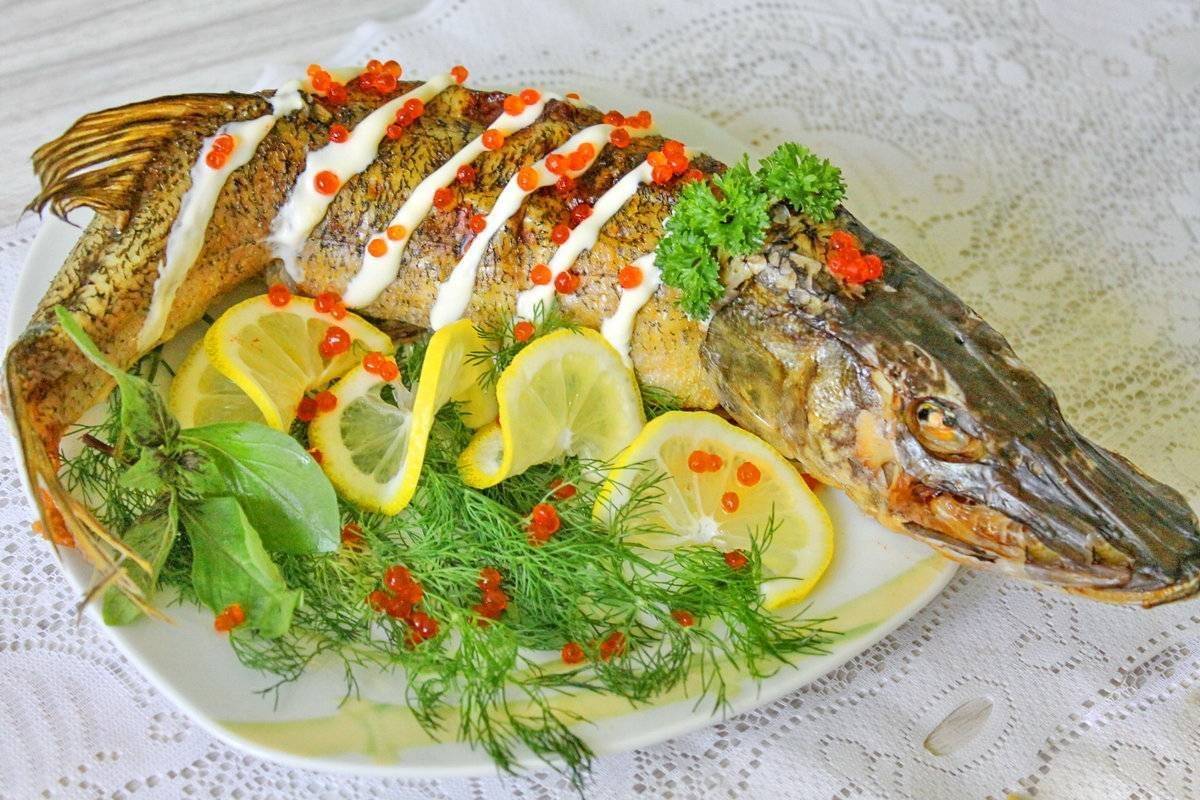 Как приготовить щуку в духовке: самые простые и вкусные рецепты запеченной рыбы - dolio.ru