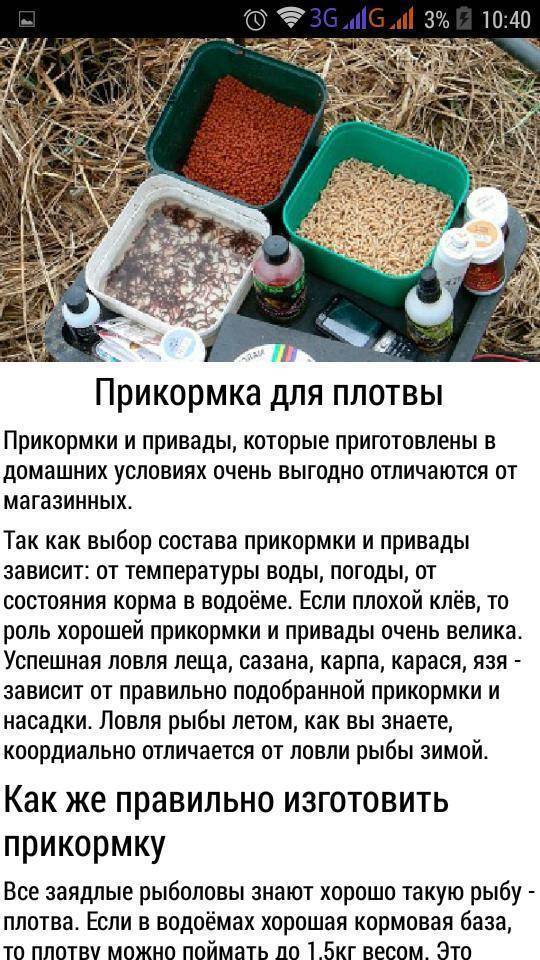 Прикормка для рыбы. рецепты прикормок. секреты удачной рыбалки :: syl.ru
