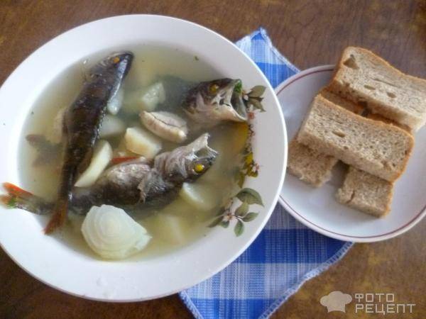 Уха из окуня - традиции рыбацкой кулинарии