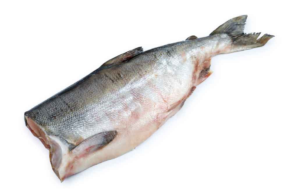 Кета - как выглядит (фото), рецепты приготовления этой рыбы