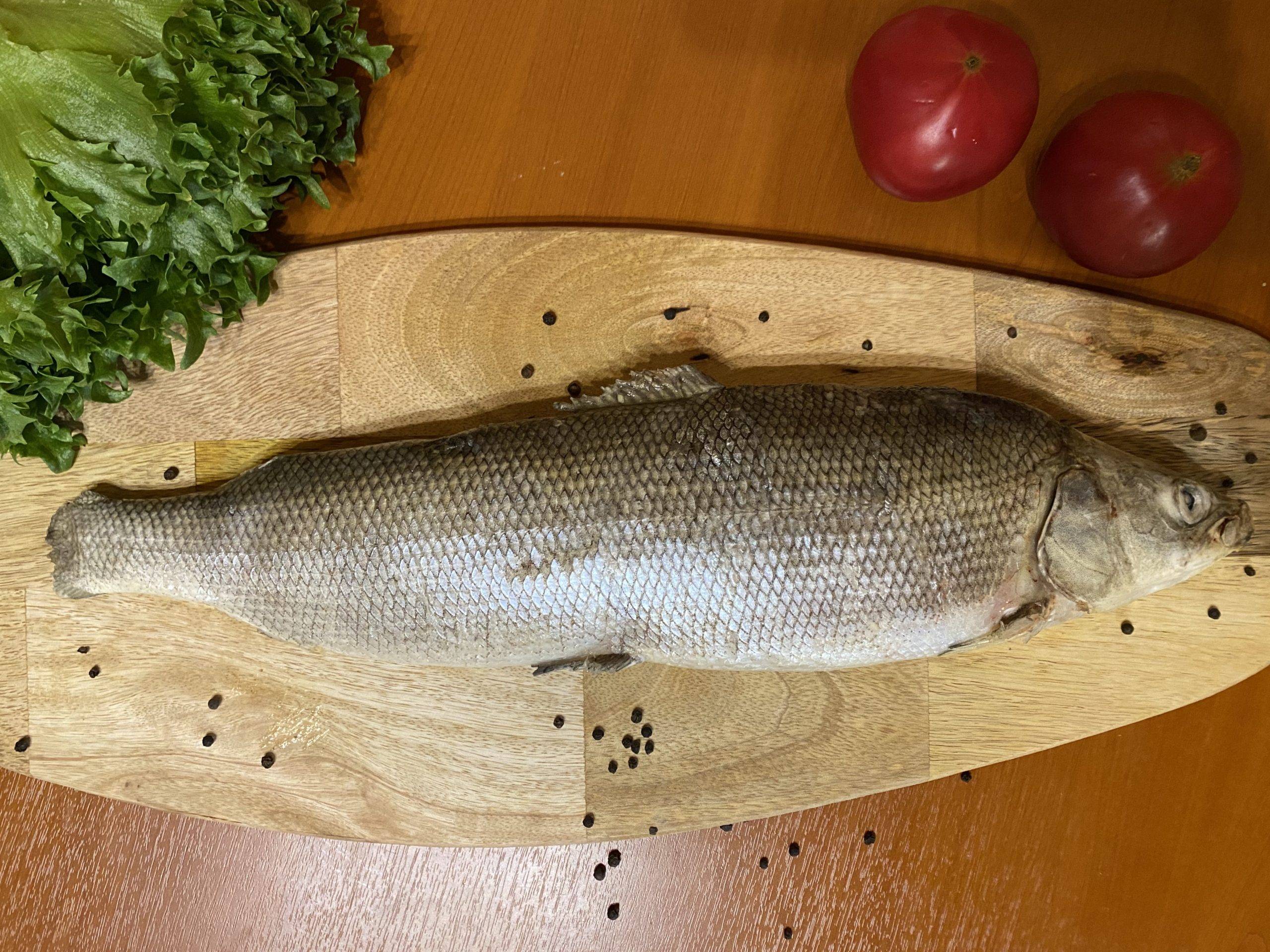 Муксун, запеченный в духовке: рецепты, как приготовить рыбу вкусной и сочной (+отзывы)