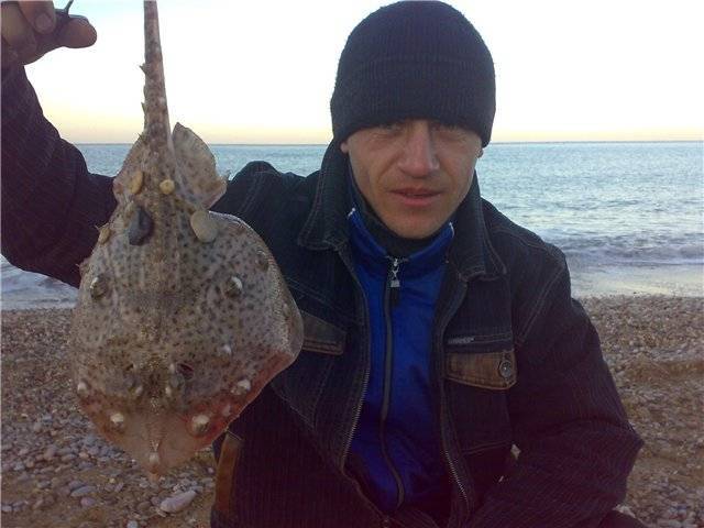 Черноморский рокфишинг. а где же хищник? – отчеты о рыбалке | рыбак bogdan