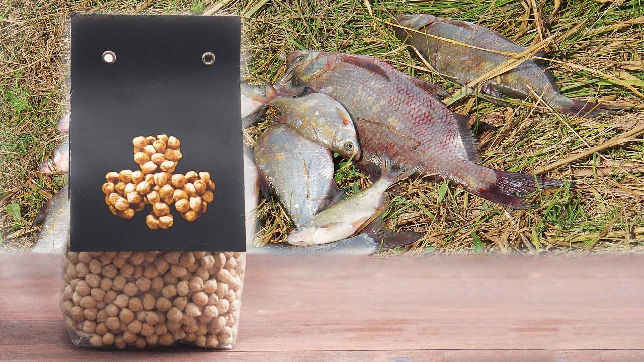 Как варить горох для рыбалки? приготовление гороха для рыбалки - рецепты :: syl.ru