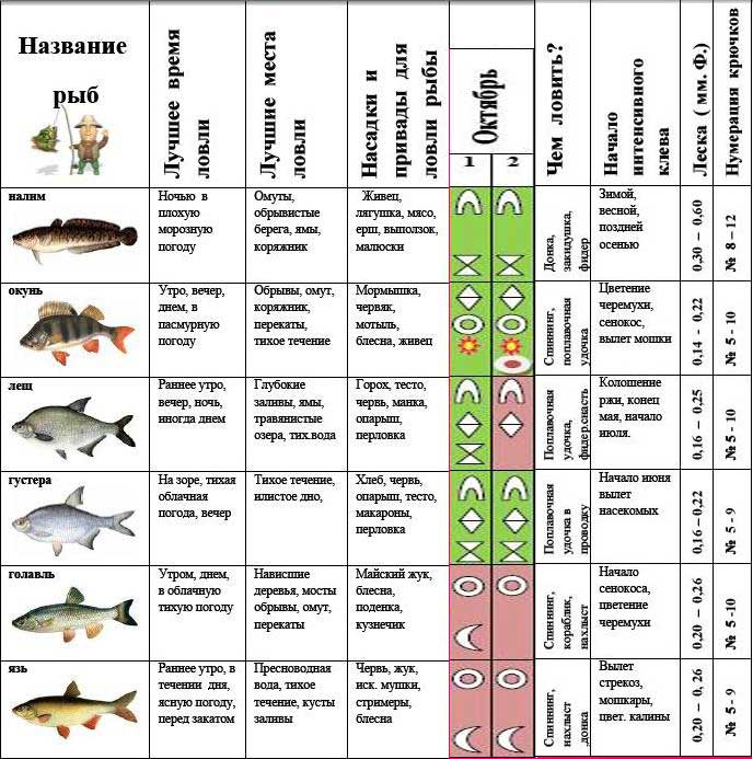 Влияние атмосферного давления на клев рыбы – прямое и опосредованное
