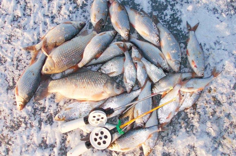Все о рыбалке на можайском водохранилище