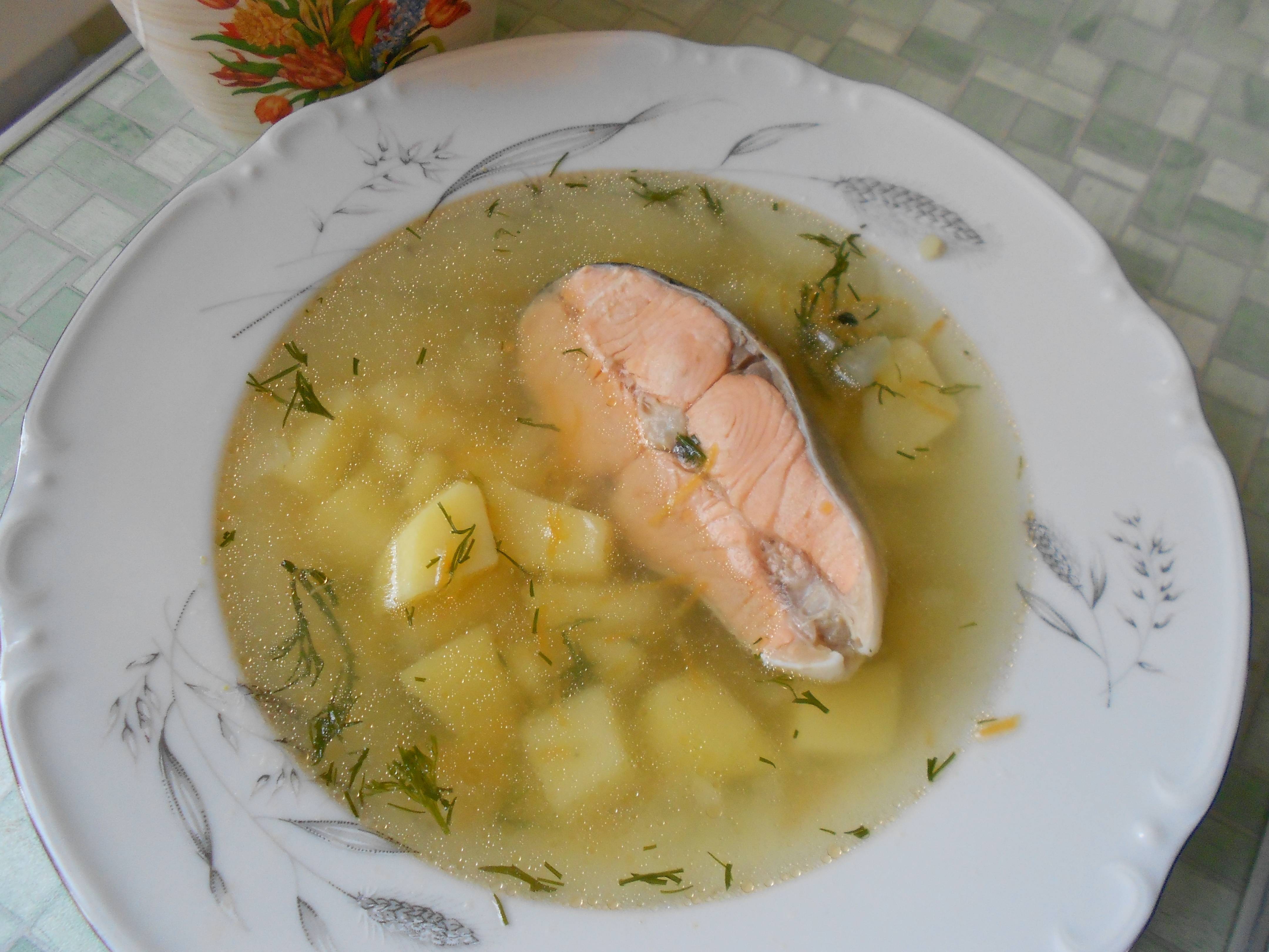 Рыбный суп из семги – питательное блюдо для вас и ваших близких: рецепт с фото и видео