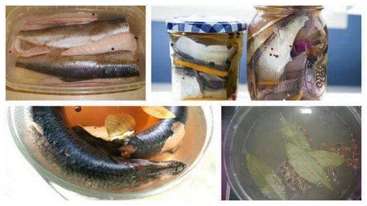 Засолка рыбы в домашних условиях 5 способами