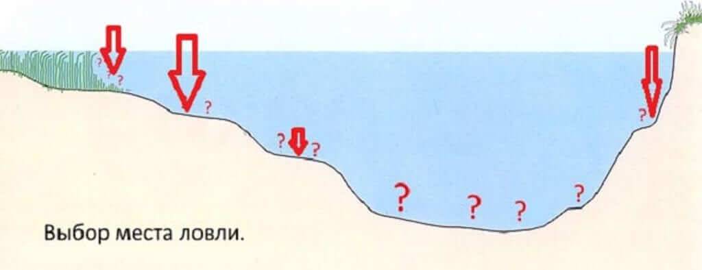 Рыбалка на спиннинг с берега: как правильно закидывать и как ловить рыбу на спиннинг, спиннинговая рыбалка для начинающих и продвинутых - как правильно рыбачить на спиннинговую снасть