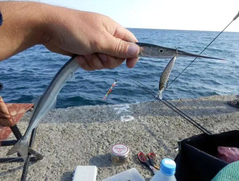 Рыбалка на чёрном море с берега: видео ловли спиннингом