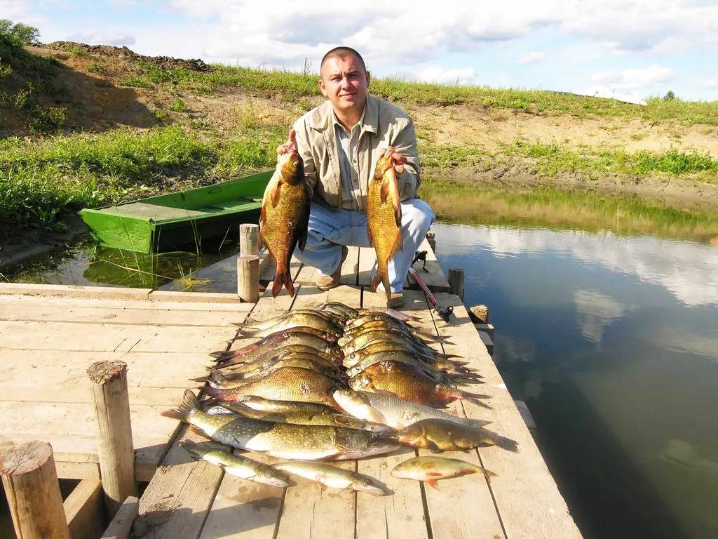 Места для рыбалки в ростовской области – платная и бесплатная рыбалка!