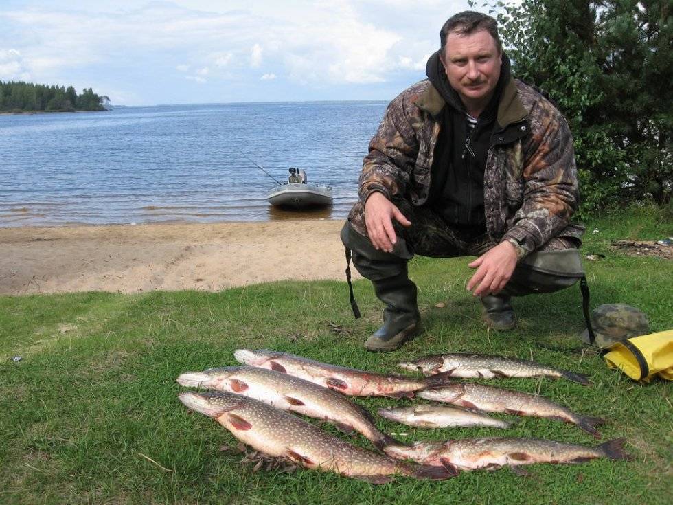 На рыбалку на белое море: что ловить, рыбные места :: syl.ru
