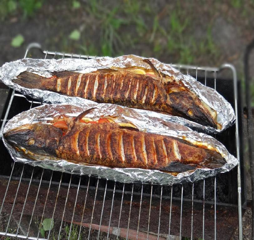 Шашлык из красной рыбы: как готовить стейки на мангале - домострой - info.sibnet.ru