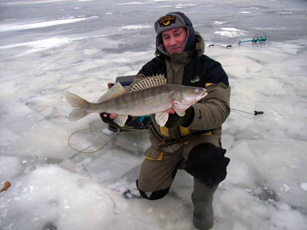 Рыбалка финский залив - все про рыбалку