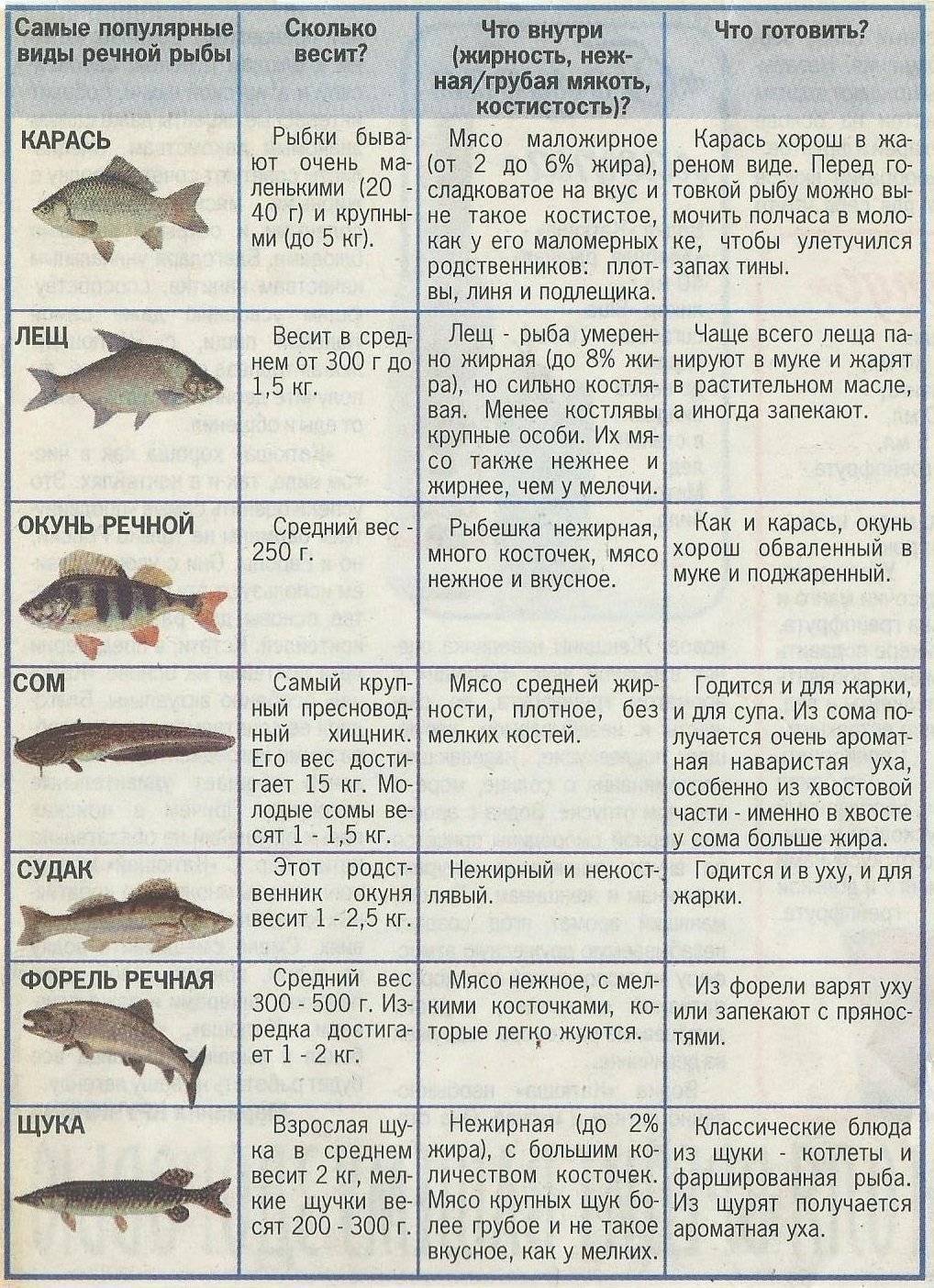 Жирность и калорийность рыбы
