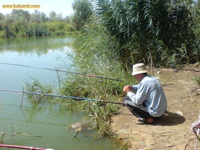 Рыбалка в тольятти — лучшие места для ловли (лопатино, хрящевка, васильевские озера), видовой состав рыб
