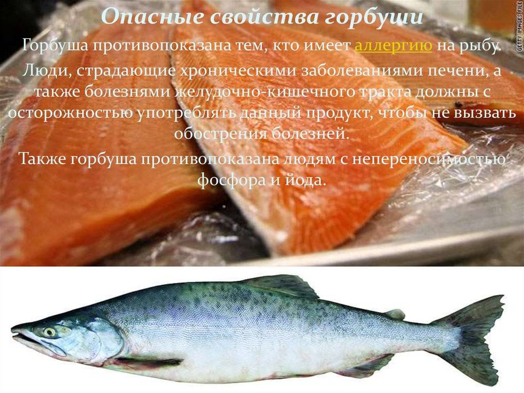 Горбуша???? польза и вред, 14 свойств рыбы для организма, химический состав