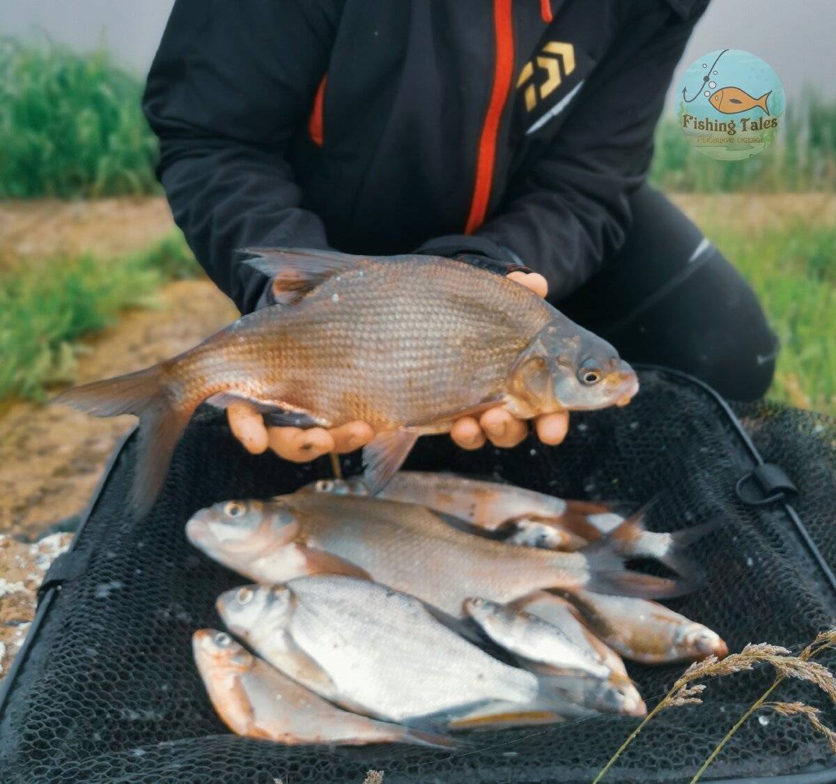 Чем интересна рыбалка в егорьевске и одноименном рыбхозе 2016