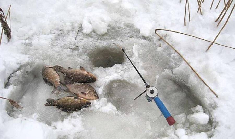 Ловля карася зимой на пруду: видео, секреты рыбалки, как ловить на мормышку, удочку
