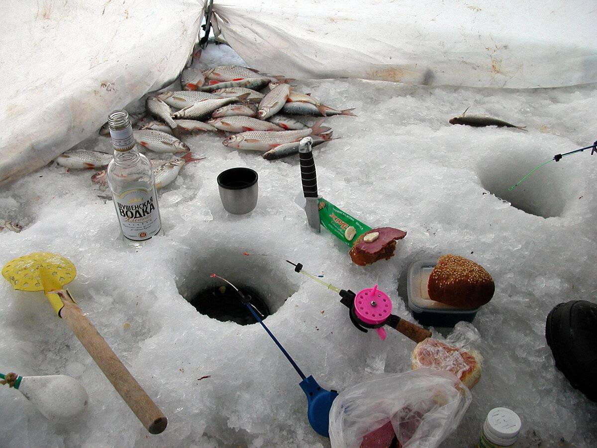 Ловля на балансир зимой для начинающих: секреты, как ловить, собрать удочку для зимней рыбалки (рейтинг лучших балансиров 2021 года)