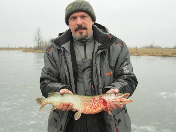 Рыбалка в белгороде и белгородской области: рыбные места и способы ловли