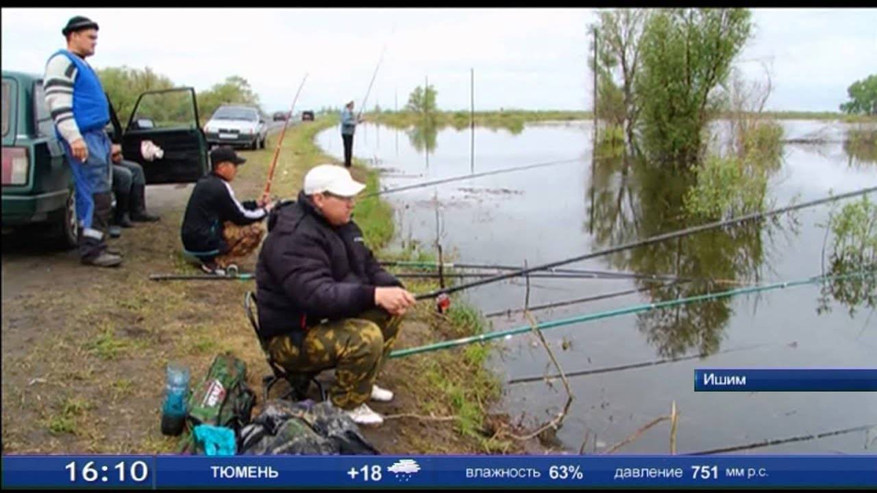 ᐉ ишим - место для рыбака - ✅ ribalka-snasti.ru