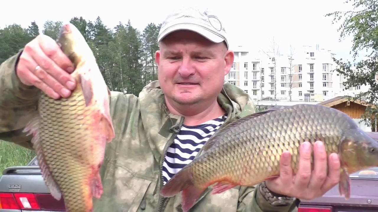 Рыбалка в юрлово (пятницкое шоссе) — особенности ловли в деревне, правила и цены