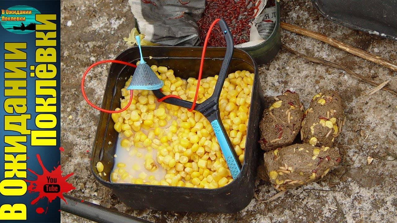 Ловля карпа на кукурузу на волос: приготовление кукурузы самостоятельно