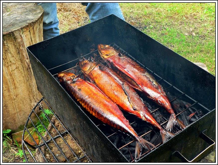 Холодное копчение рыбы: пошаговые рецепты с фото для легкого приготовления