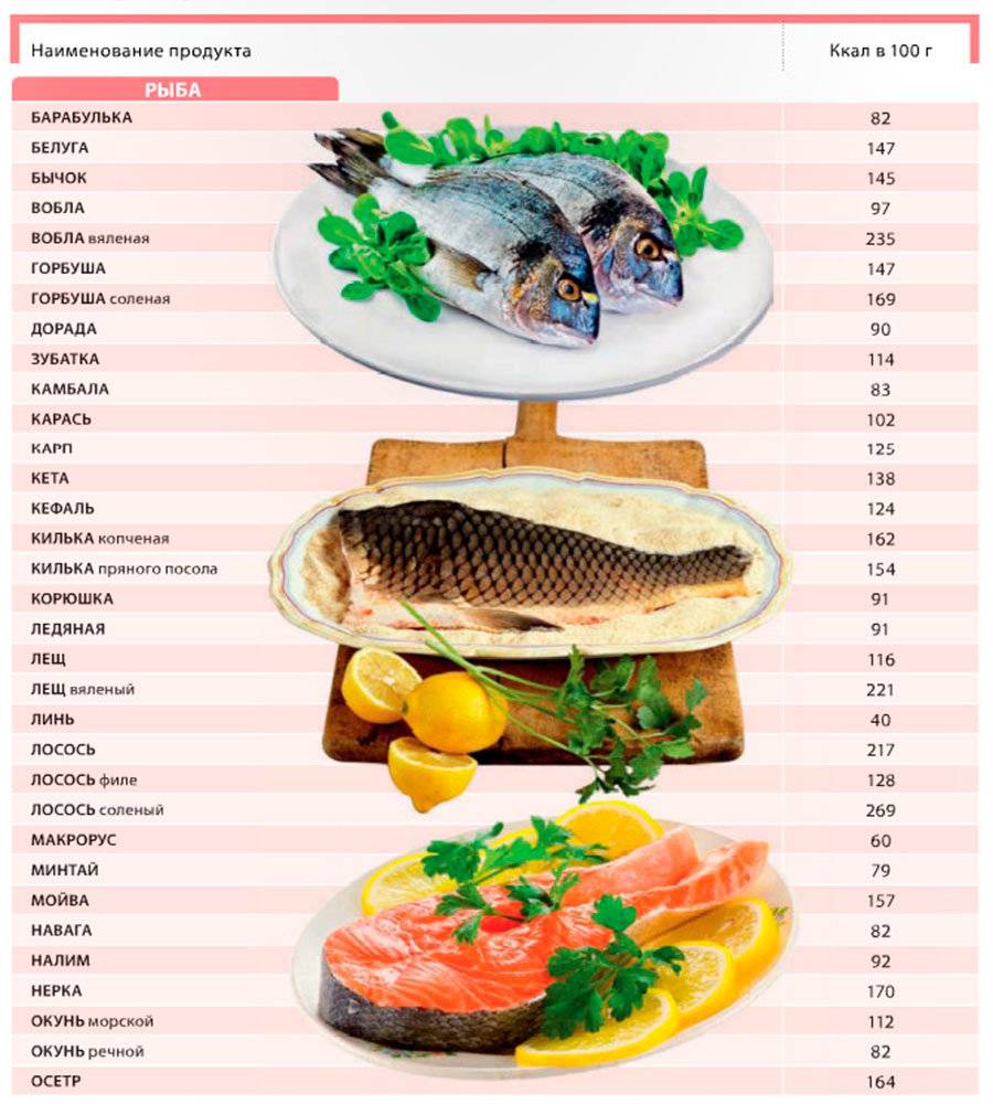 Морской окунь: калорийность, полезные и вредные свойства для организма