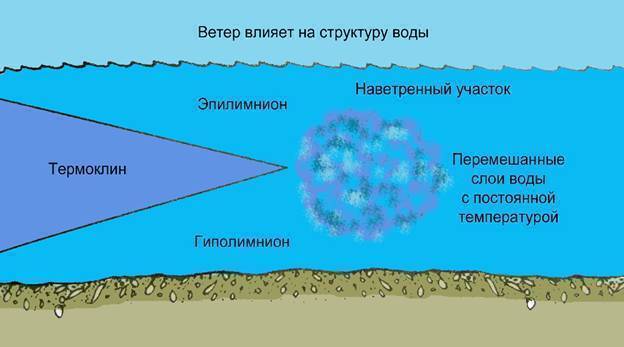 Термоклин: что это такое, обнаружение эхолотом во время рыбалки, влияние на рыбу