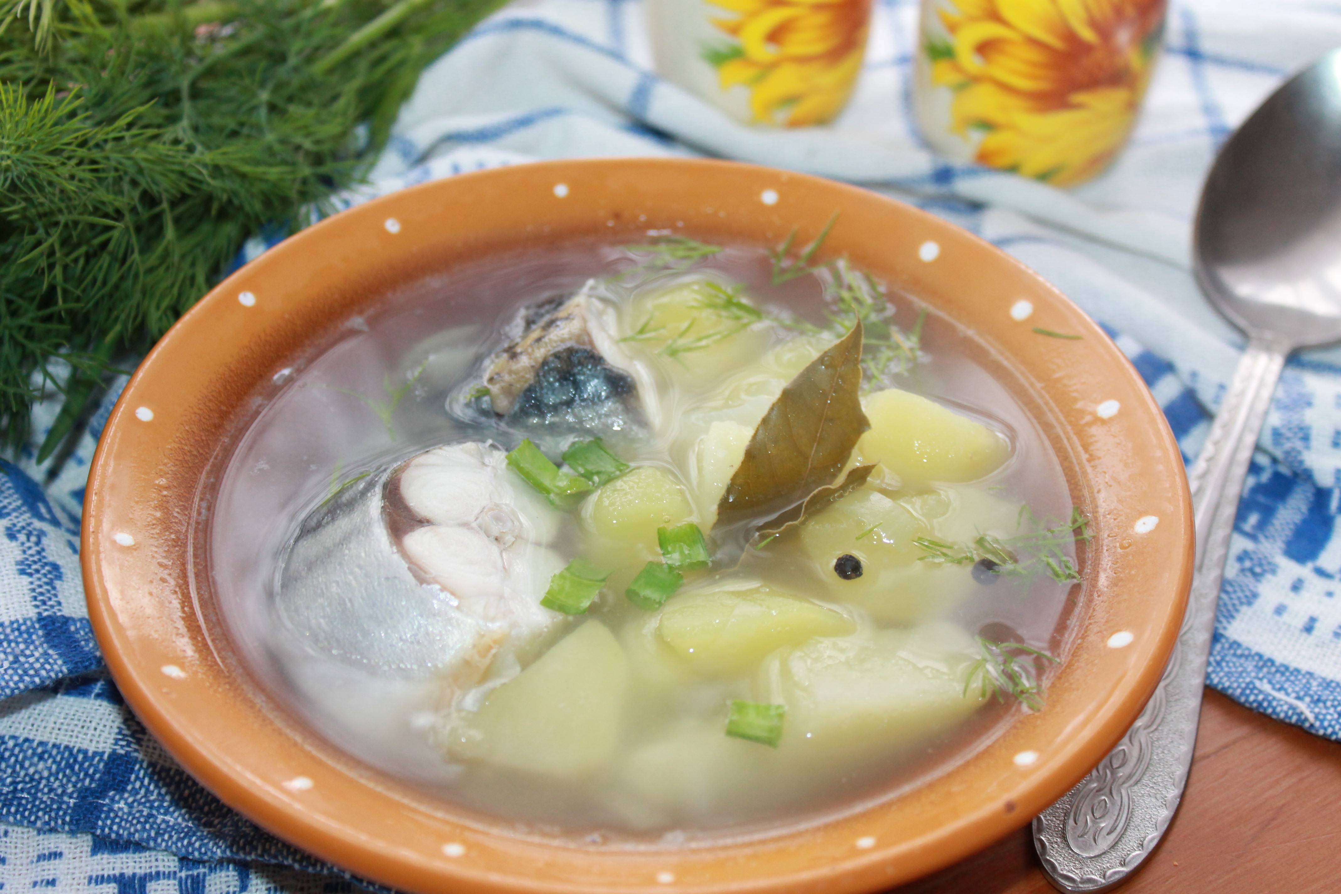 Суп из свежемороженой скумбрии: 5 вариантов сытных блюд