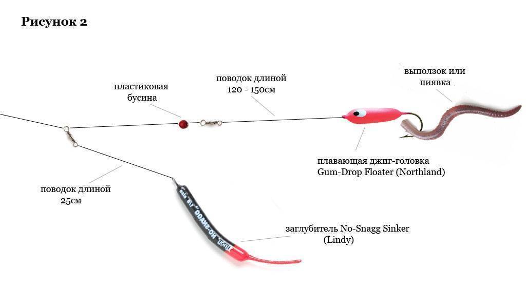 Ловля судака на отводной поводок - схема монтажа, снасти для рыбалки (+ видео)