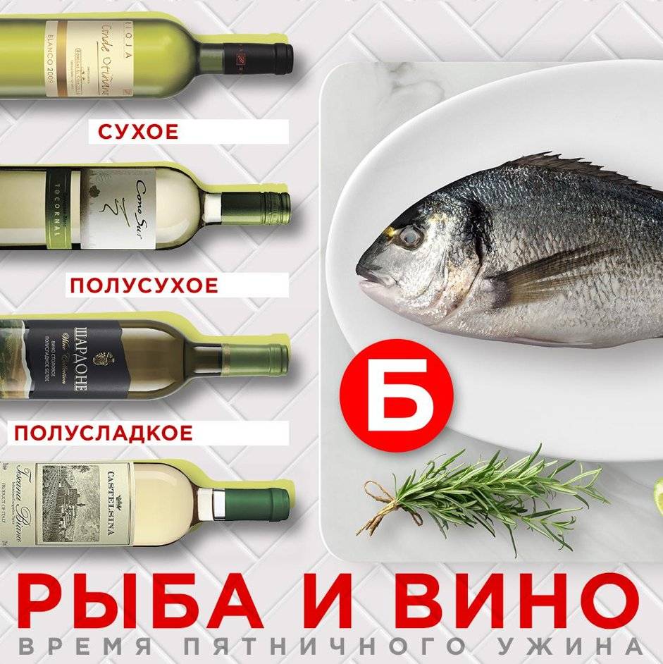 Какое вино выбрать к рыбе